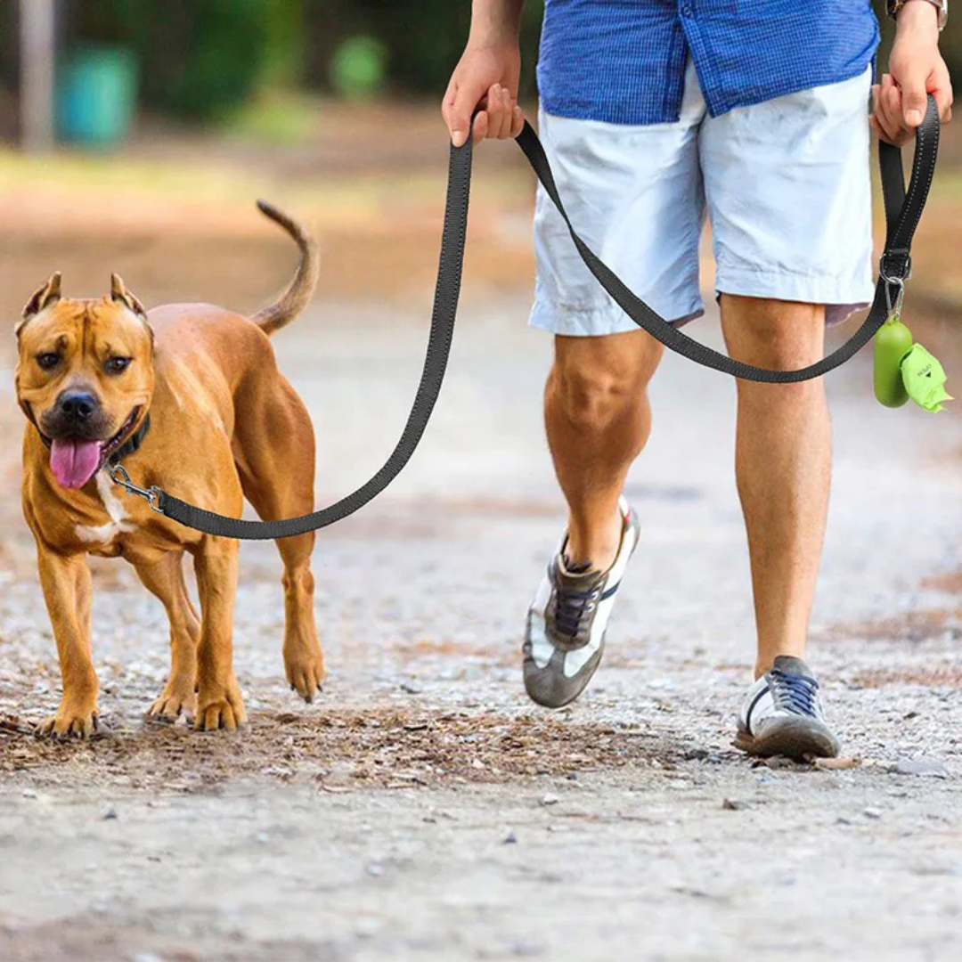 PetPetsy® Reflecterende Hondenriem met Harnashalsband