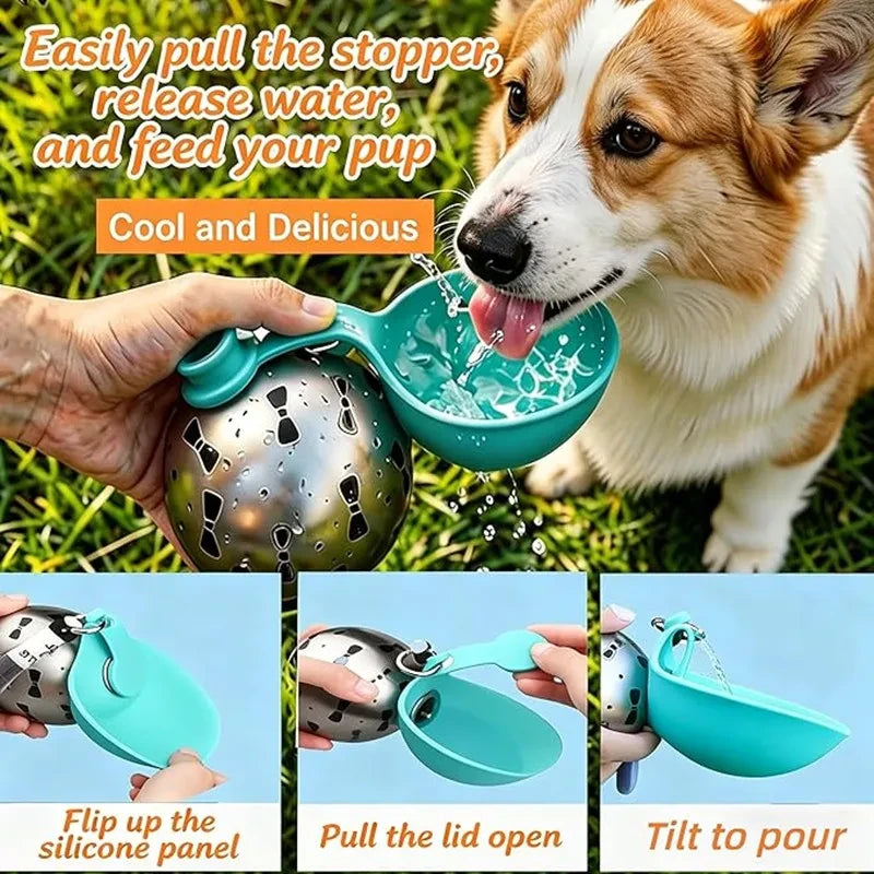 Gourde portable en inox pour animaux