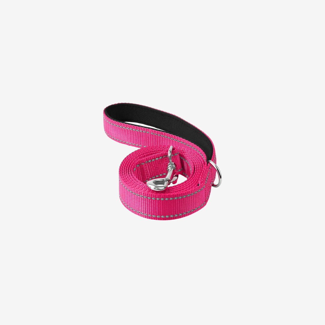 PetPetsy® Reflecterende Hondenriem met Harnashalsband