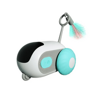 PetPetsy® ChaseMaster RC