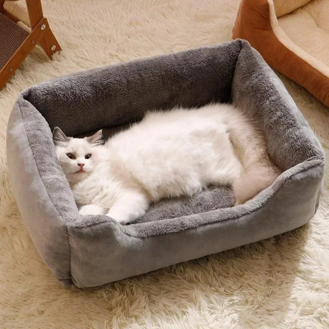 PetPetsy® Kattenbed Comfort