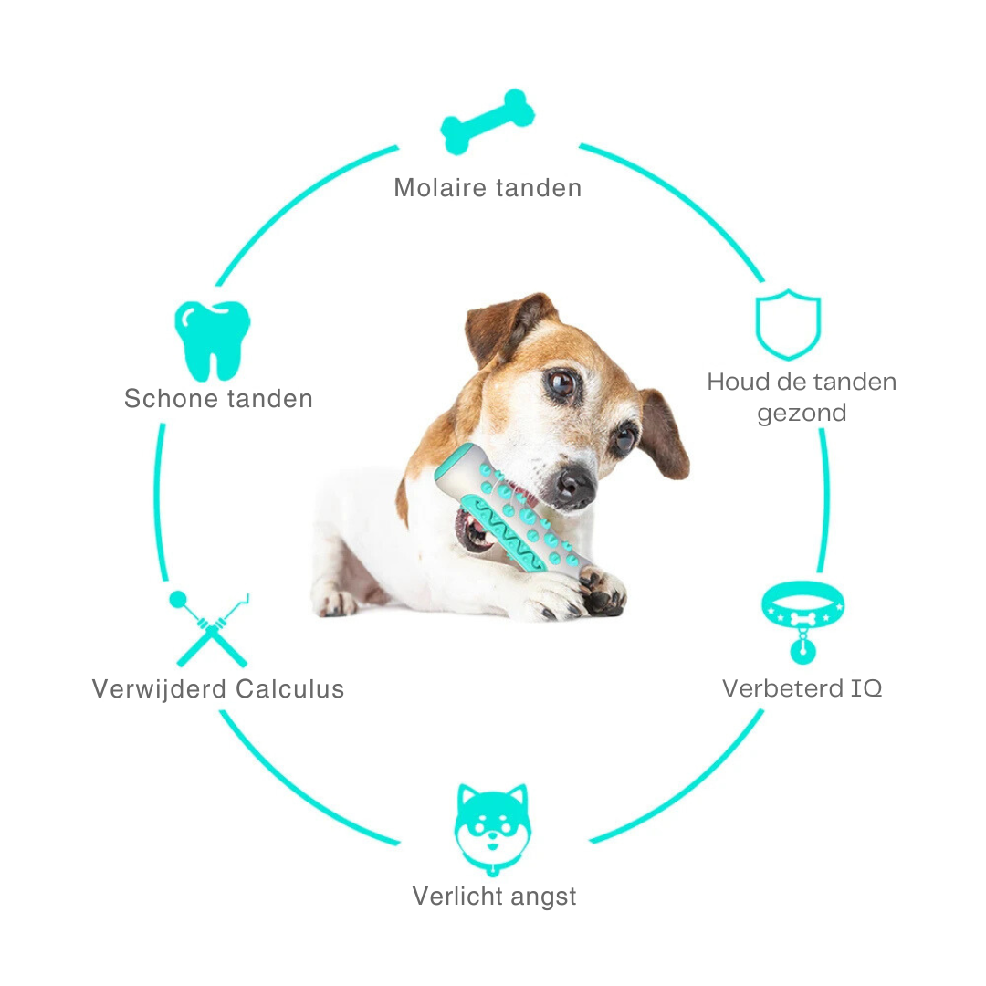 PetPetsy® CleanBite Honden Tandenborstel Stok