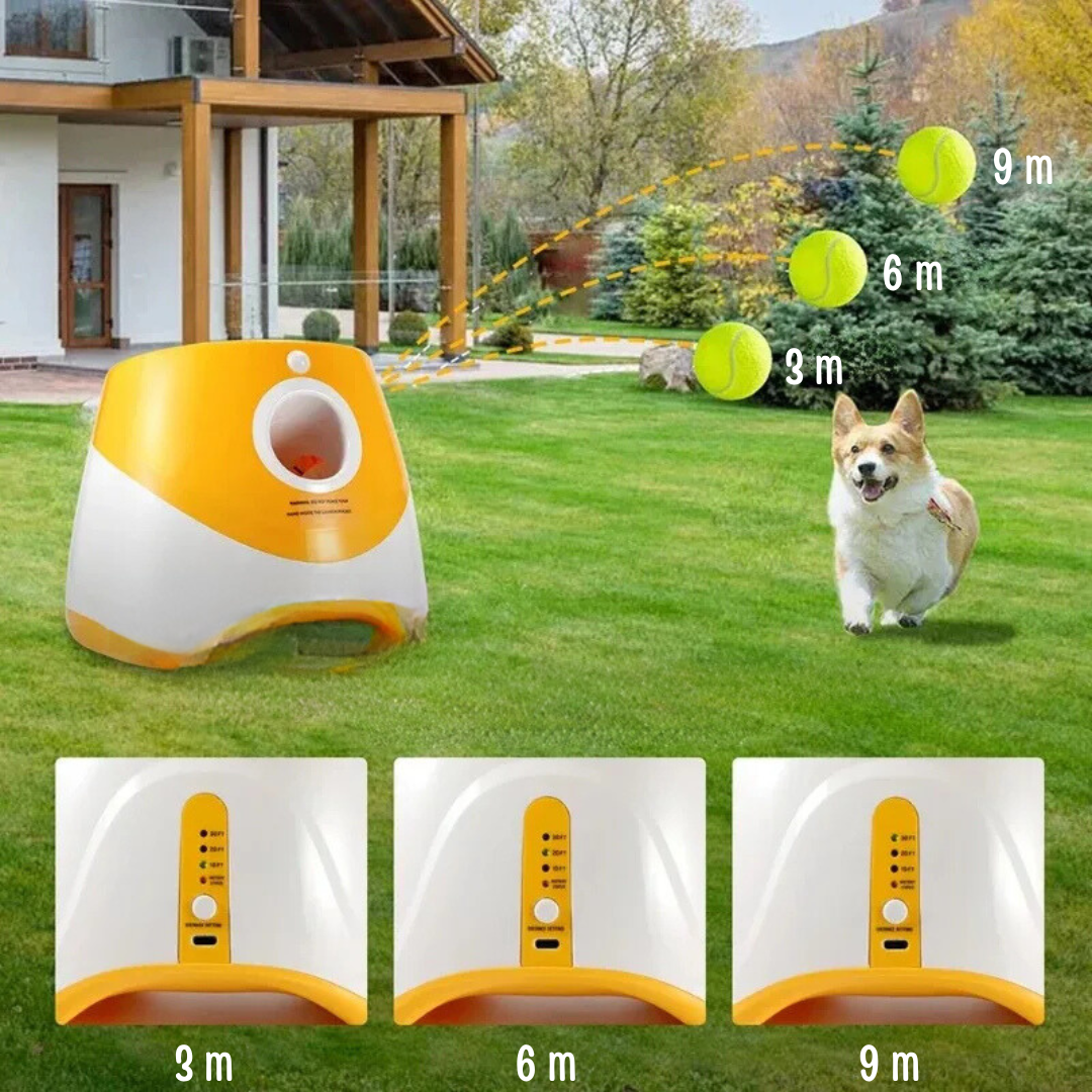 PetPetsy® Automatische ballenwerper