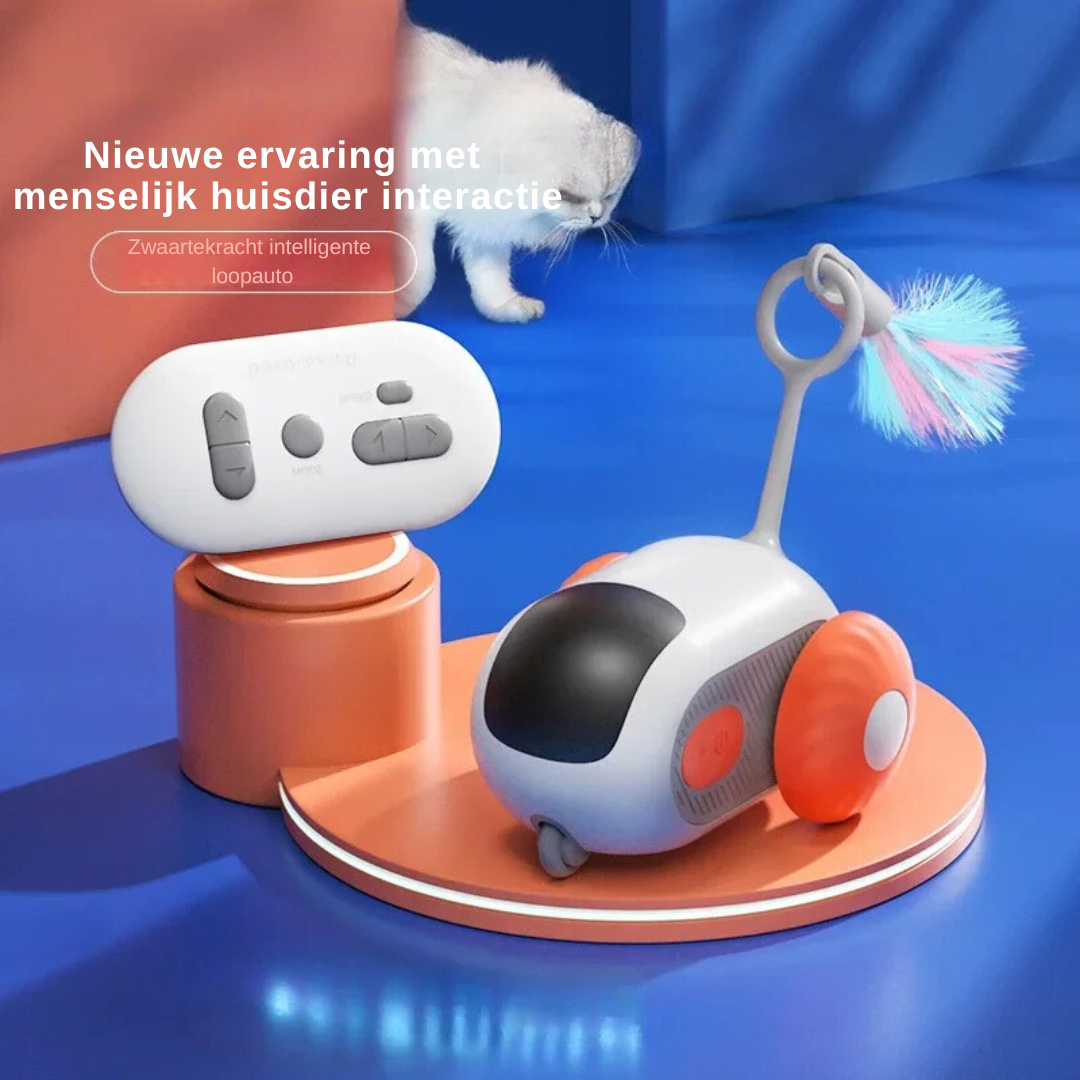 PetPetsy® ChaseMaster RC