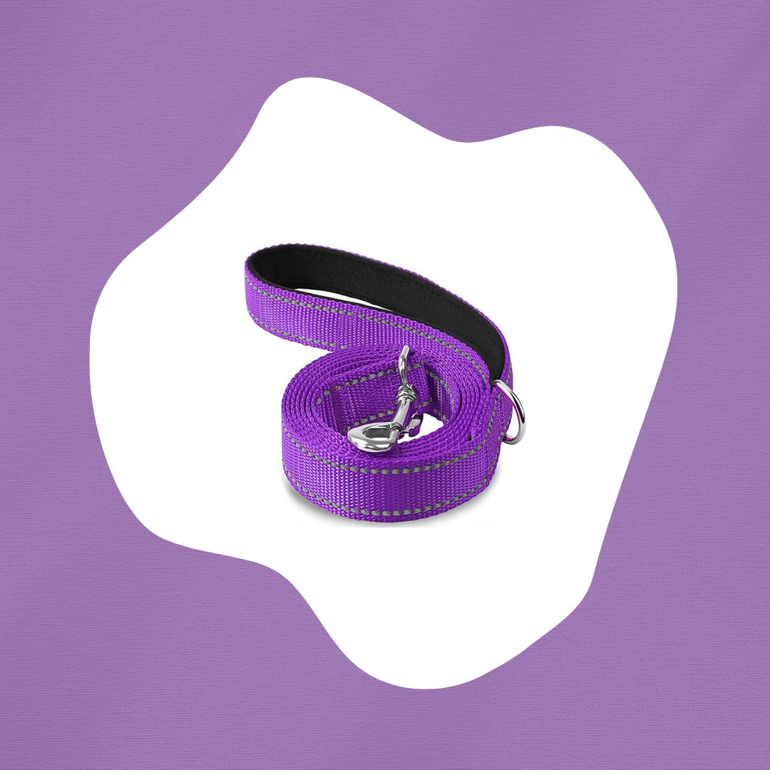 PetPetsy® Reflecterende Hondenriem met Harnashalsband