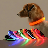 PetPetsy® Veiligheids LED Halsband