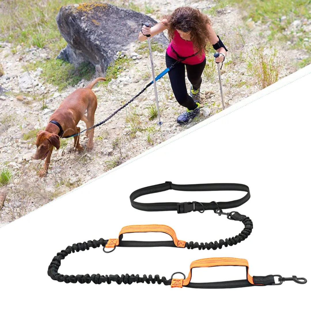 PetPetsy® FlexiLeash Intrekbare Hondenriem