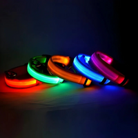 PetPetsy® Veiligheids LED Halsband