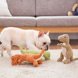 PetPetsy® Dinosaurus Piepend Speelgoed