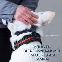 PetPetsy® SecureFit Honden Kop Halster